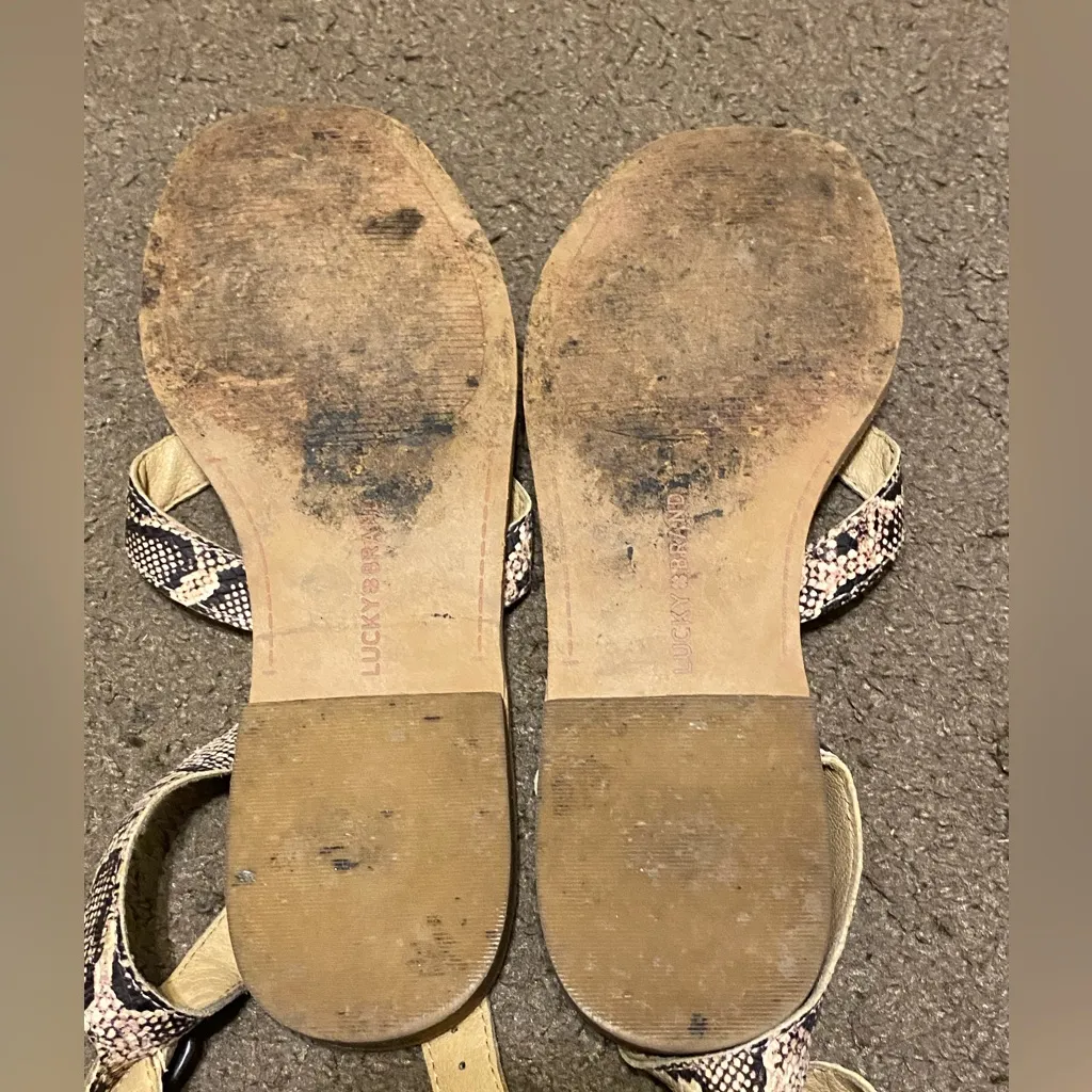 Womens Lucky Brand Faux Snakeskin‎ Leather Strappy Flat Sandals Size 7.5 - Image 3