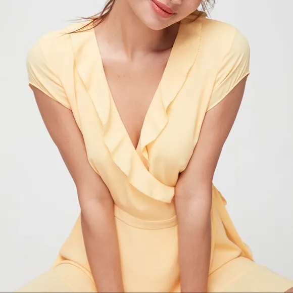Aritzia Sunday Best Savoy Dress - Image 3