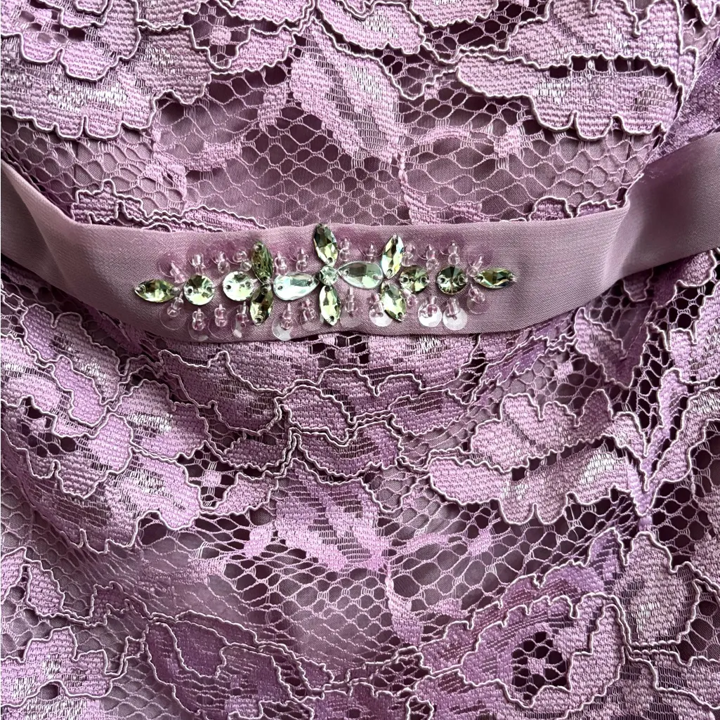 JJs house lace dress in wisteria special occasion mother of the bride sz 10 NWT - Image 4