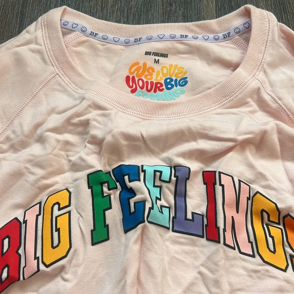 Big Feelings Cropped Sweater Size M - Image 3