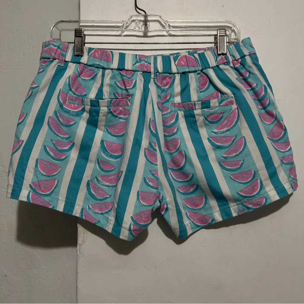 Chubbies Made In USA Watermelon Print Women Twill Shorts Medium M Striped :Box U - Image 6