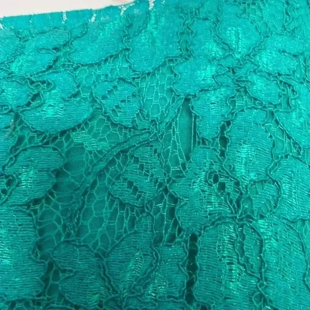 DIANE VON FURSTENBERG Zarita Lace Dress in Parakeet Green Sz 8 - Image 13