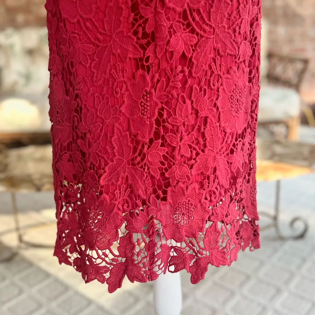 Luxology Dress Lace Crochet Cap Sleeve Sheath 10 Garden Brunch Party Bright - Image 7