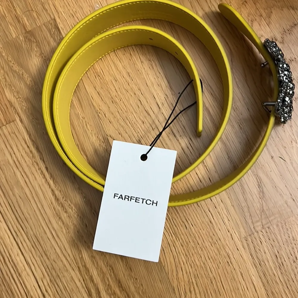 NWT MANOLO BLAHNIK gold Hangisi 35mm belt - Image 3