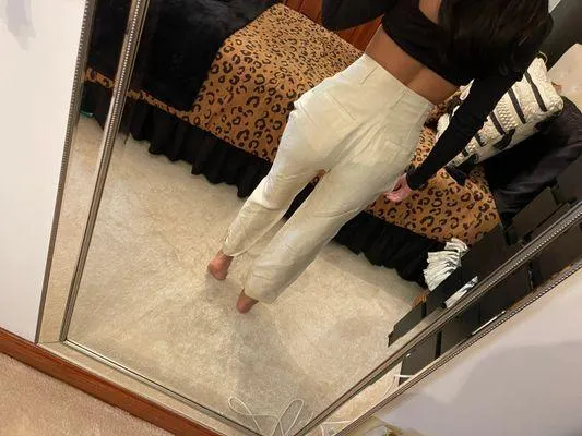 Joie Silk & Linen Pants - Image 4