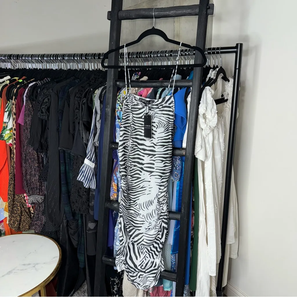 Lioness Mesh Zebra Print Mini Dress in Black White - Image 4