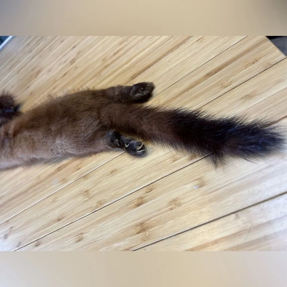 Vintage 4 Mink Fur Complete Body Pelt Scarf Brown - Image 10