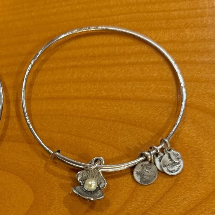Alex and Ani Bangle Bracelets Set of 4 Cupcake Pearl Butterfly Birds Silver Tone - Image 3