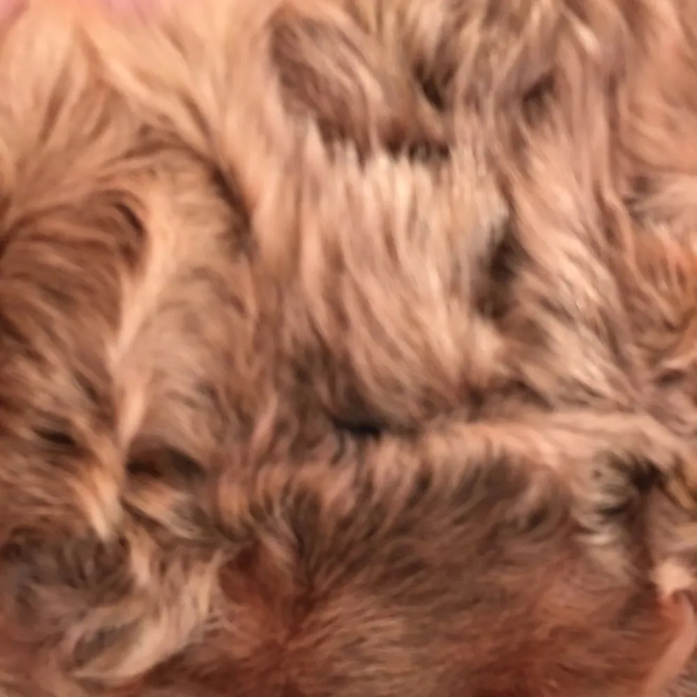 Vintage Paola Masi Pink genuine leather Rabbit fur bag! Y2K style - Image 10