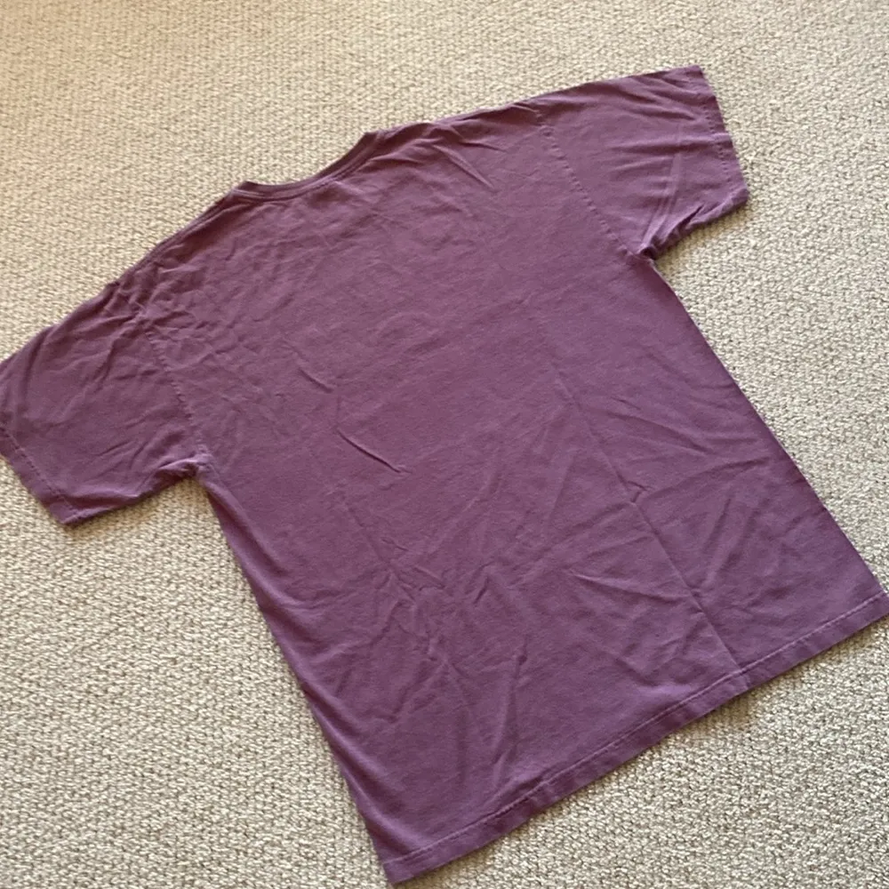 NEW Comfort Colors AOPi Alpha Omicron Pi Pancake T-Shirt Purple Gettysburg XL - Image 8