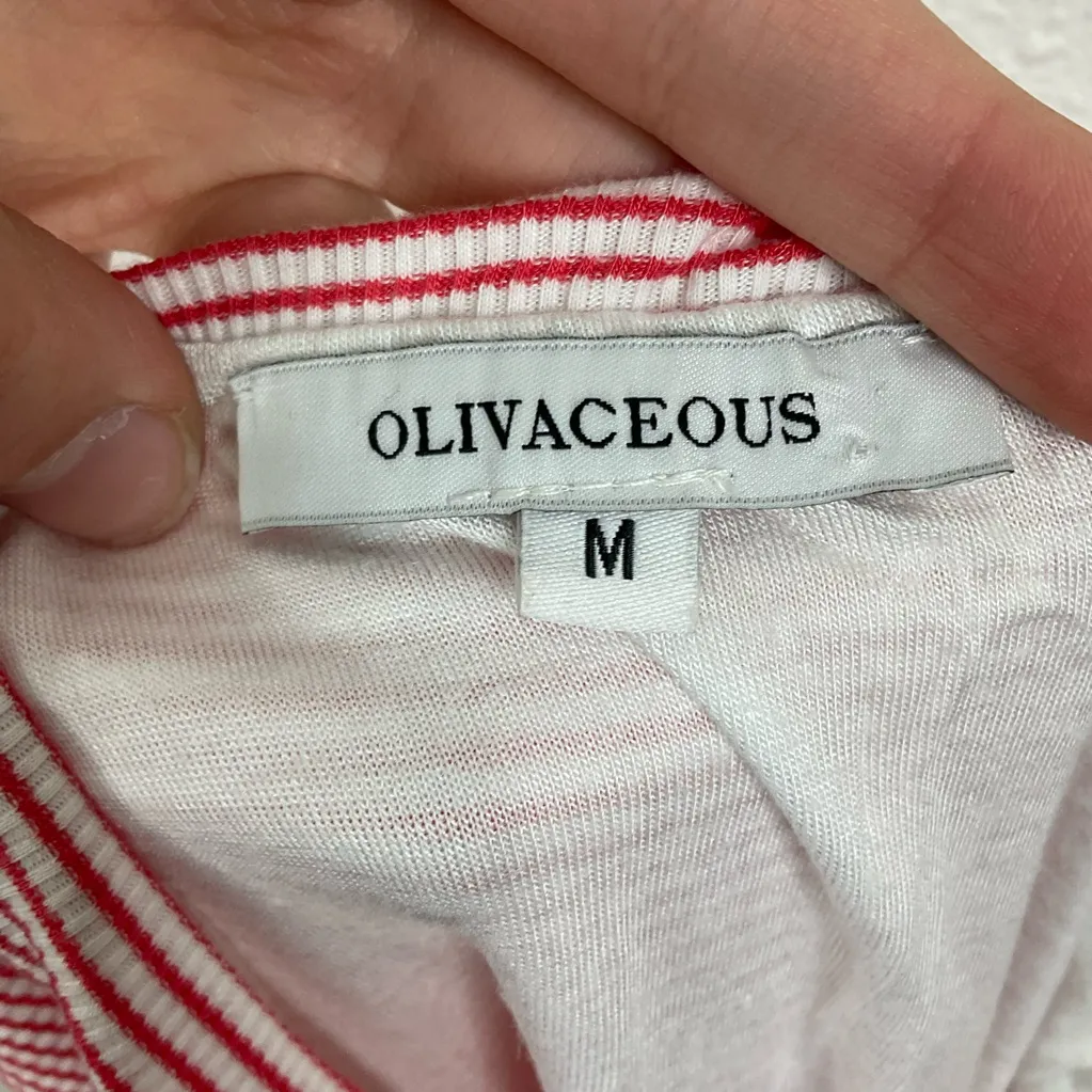 Olivaceous Snap Front Striped Skirt Size Medium - Image 3