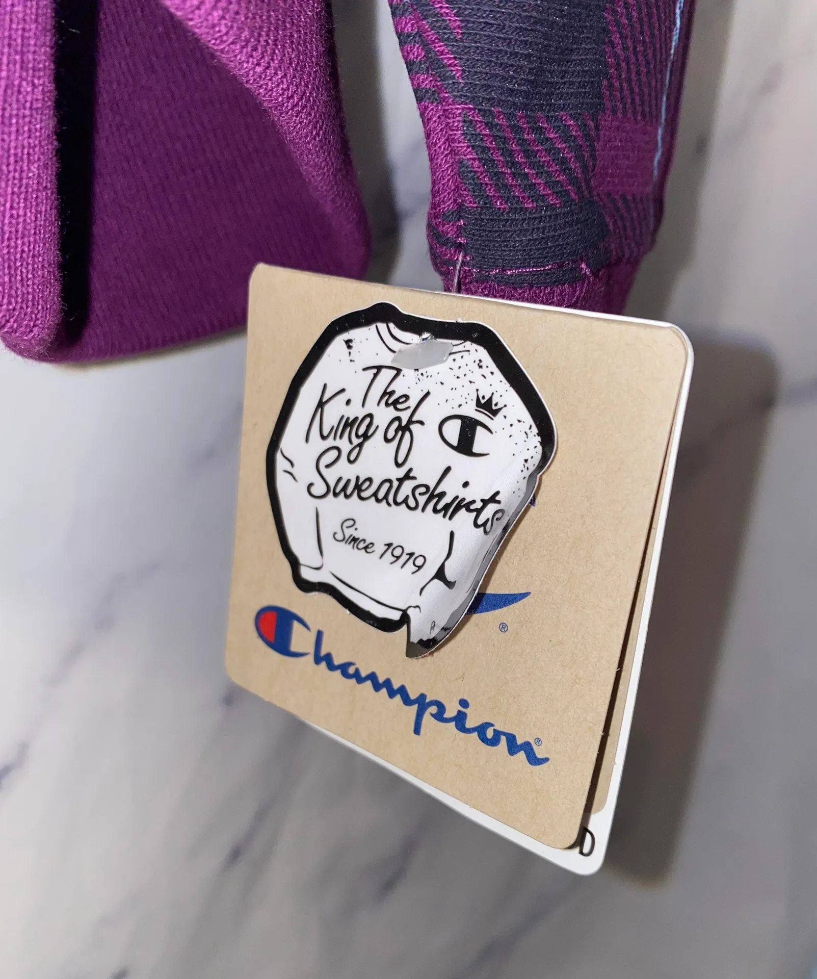 Champion Reverse Weave Hoodie - Image 4