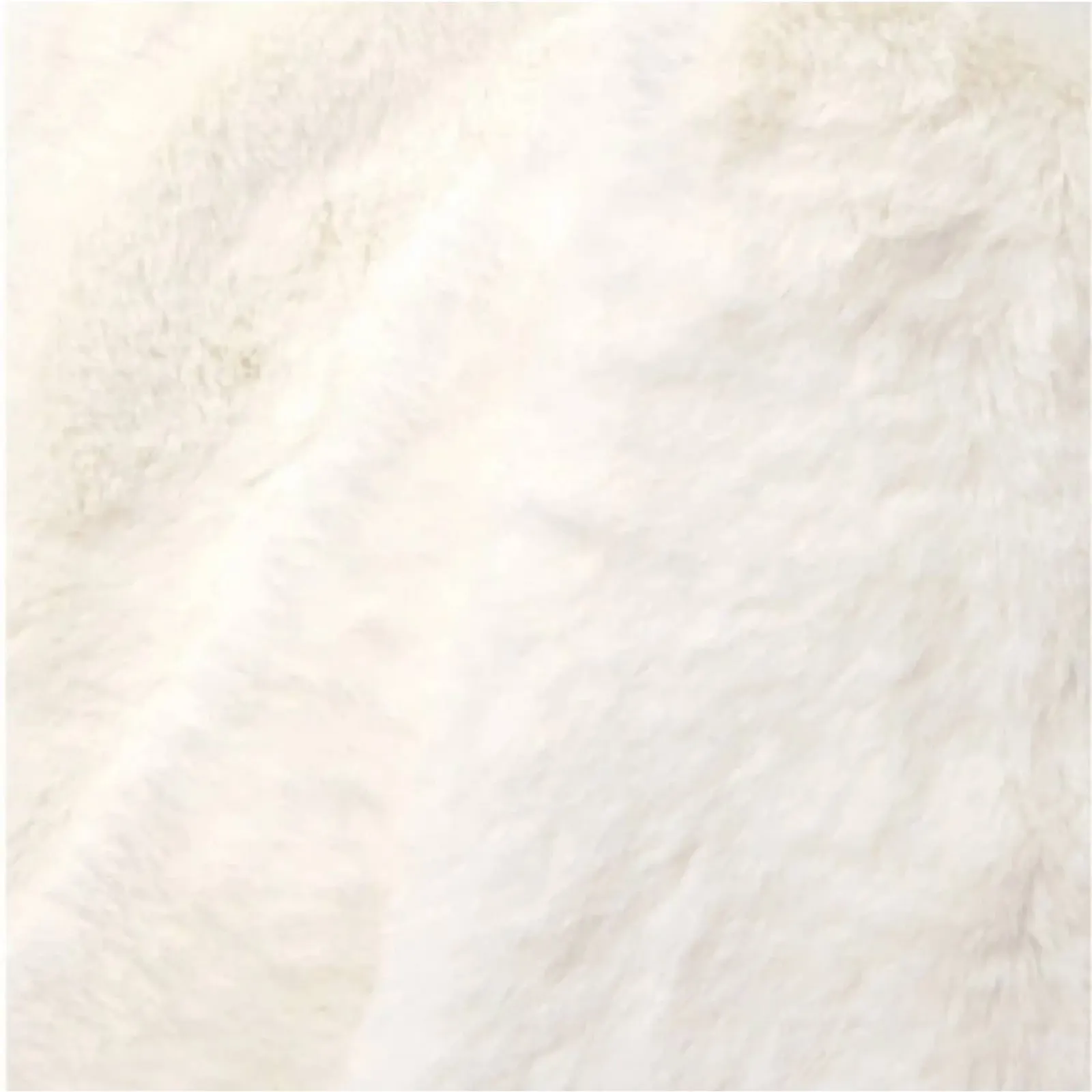 NWT! Apparis Bambi Faux Fur Luxe Plush Scarf in Ivory - Image 2