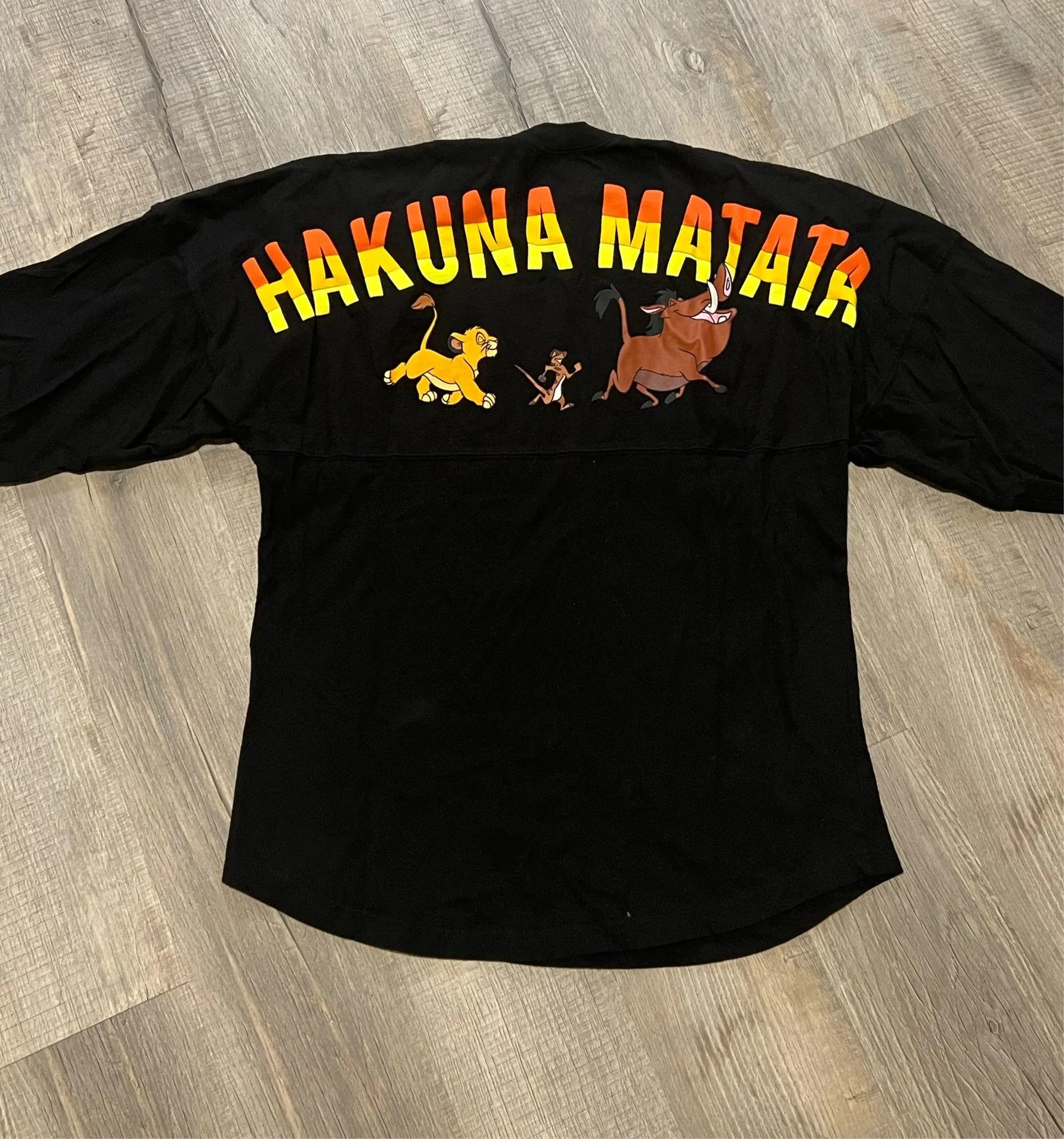 EUC Disney Parks Lion King “Hakuna Matata” Spirit Jersey - Image 2