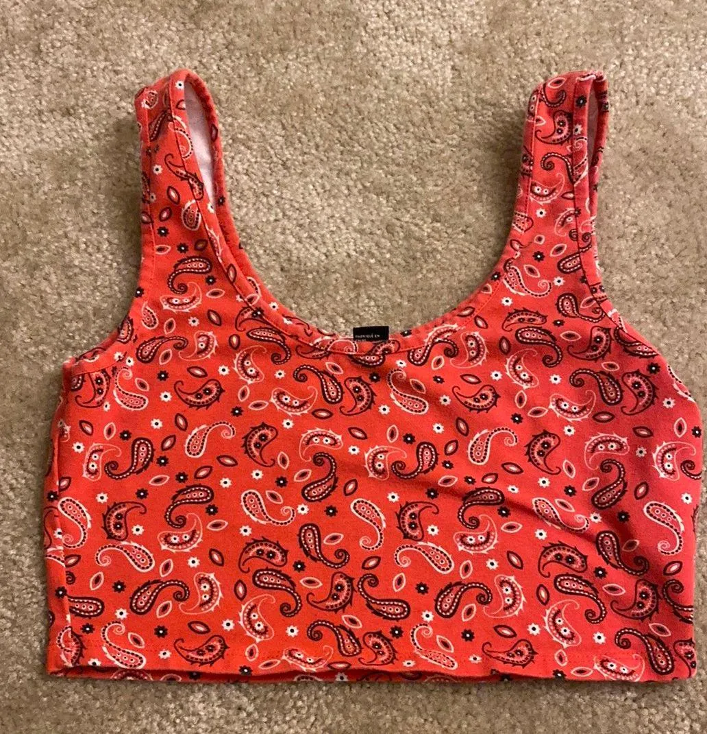 Bandana Print Crop Top - Image 3