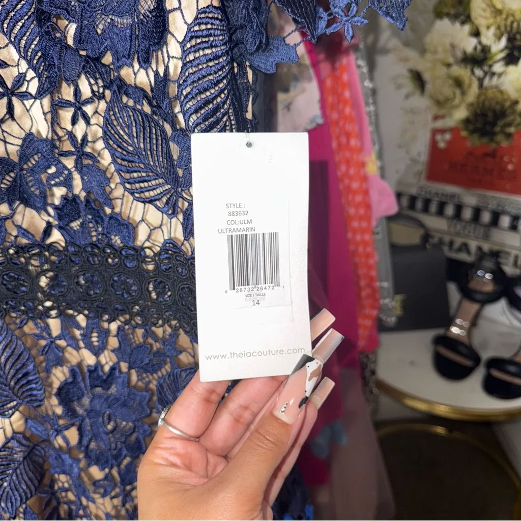 Theia Ultramarine Lace Midi Dress With Nude Lining Womens 14 New NWT Blue - Image 8