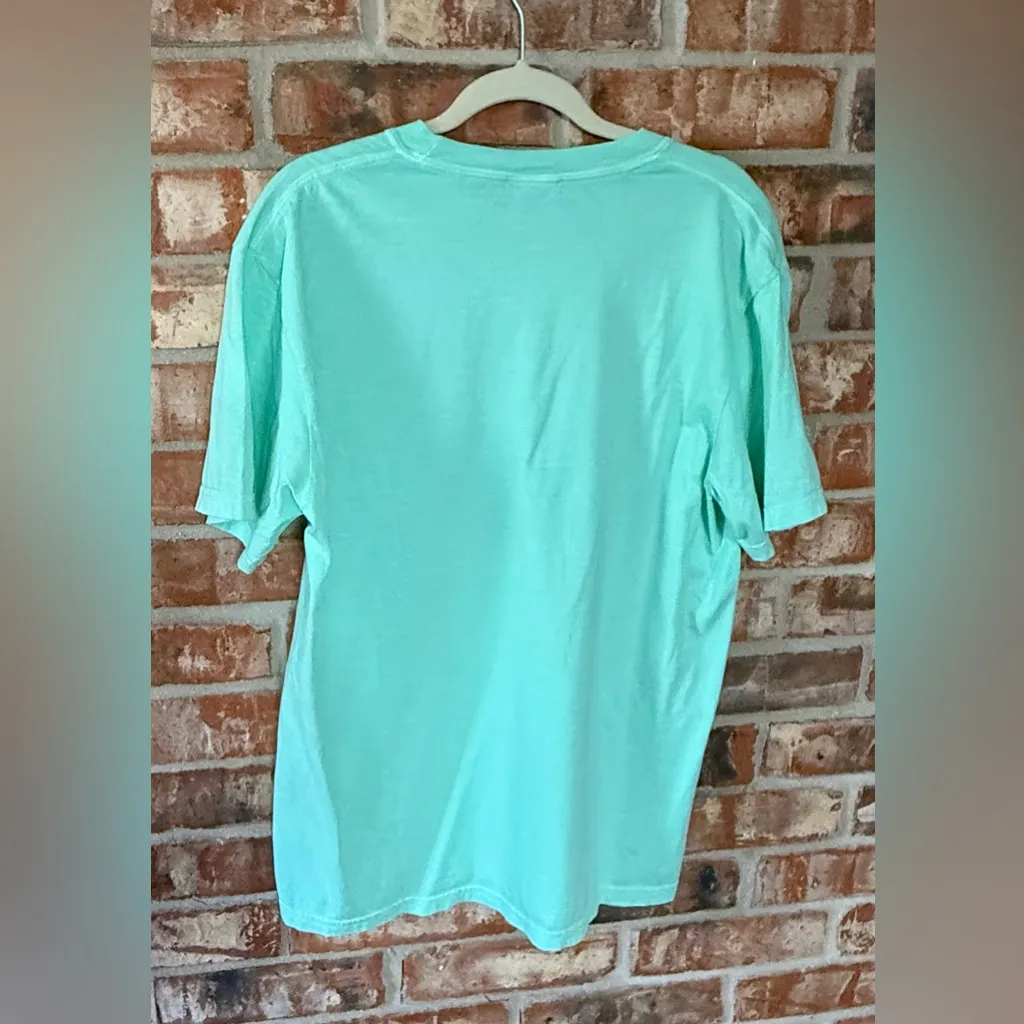 Comfort Colors chalky mint Tiger graphic Tee - Image 3