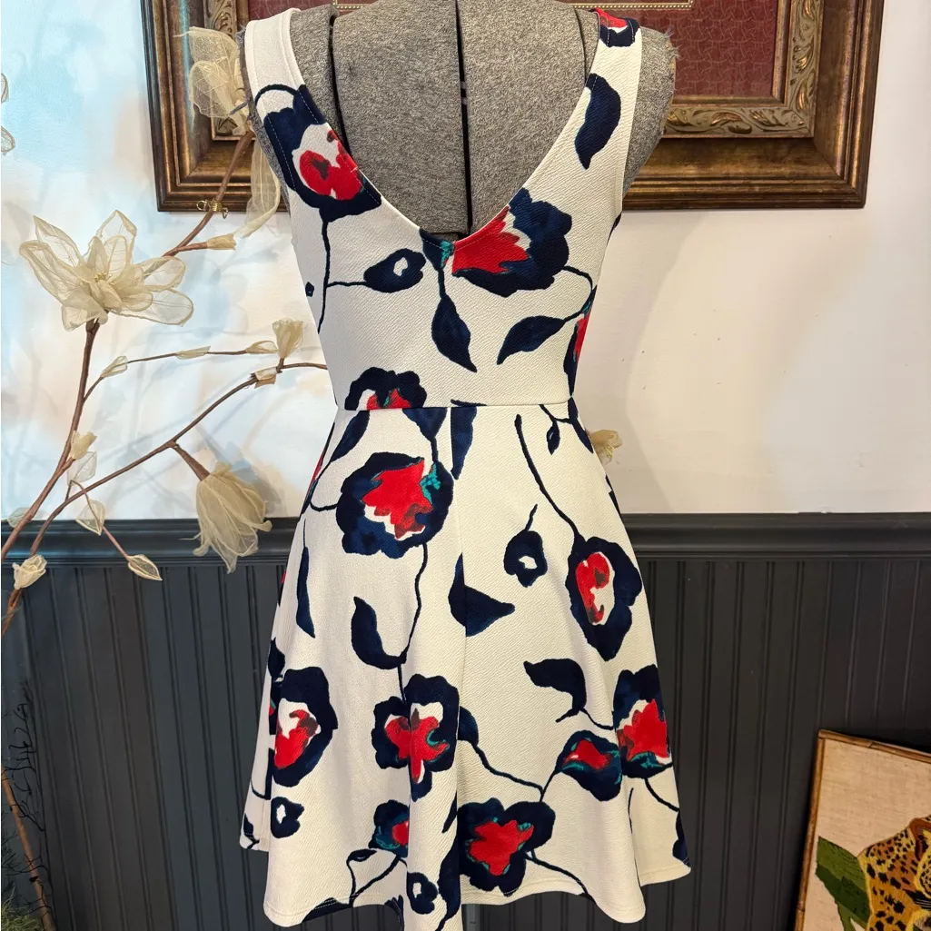 Anthropologie Everly Painted Poppies Skater Style Dress ~ Size Small 💚🍄 - Image 3