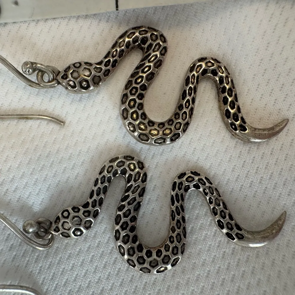 Boutique Silver Snake Earrings - Image 4