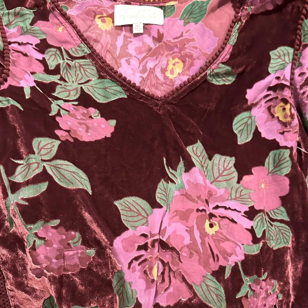 Anthro Rahi Cali Burnout Velvet Crop Blouse Burgundy Pink Green Whimsy Goth XS - Image 5