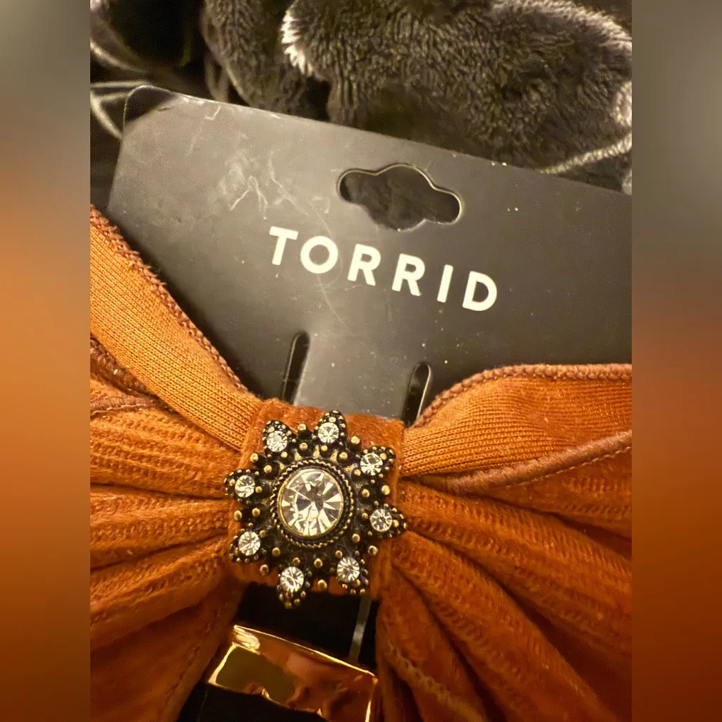 Torrid Fall Autumn Brown Bow Barrette & Gold Hammered Hair Pin Accessory Set - Image 3