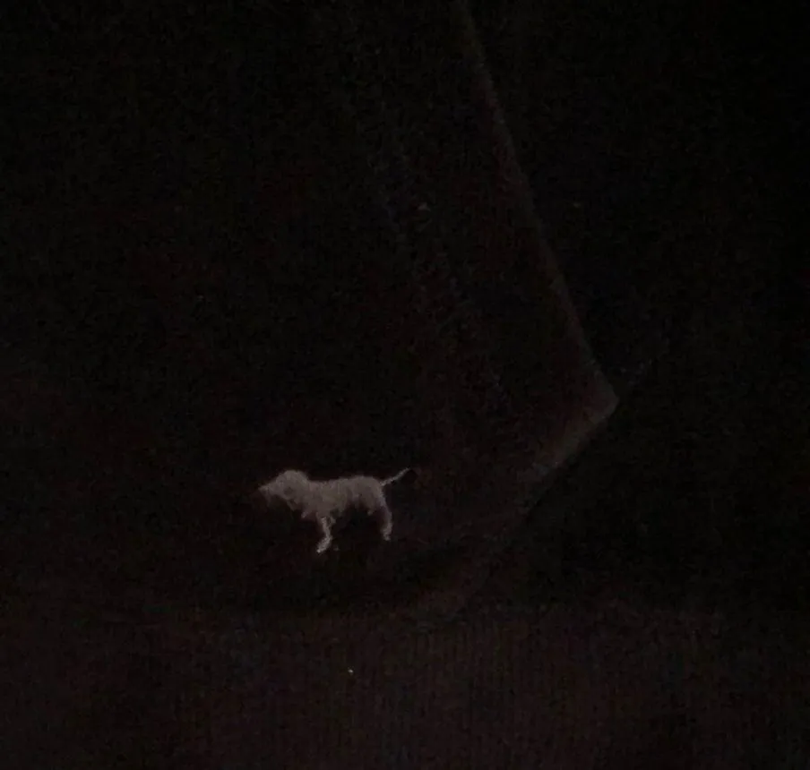 Love pink jacket - Image 4