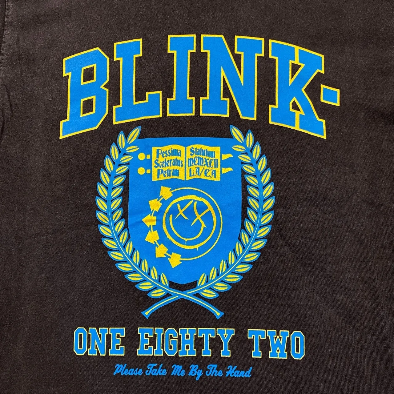 Blink 182 Take Me By The Hand Rock T - Image 2