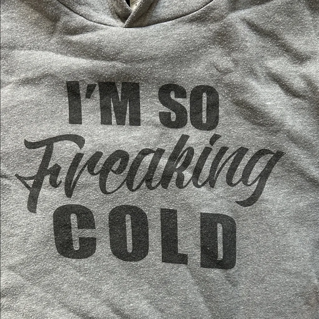 Bella Canvas Gray Graphic Hoodie - Image 3