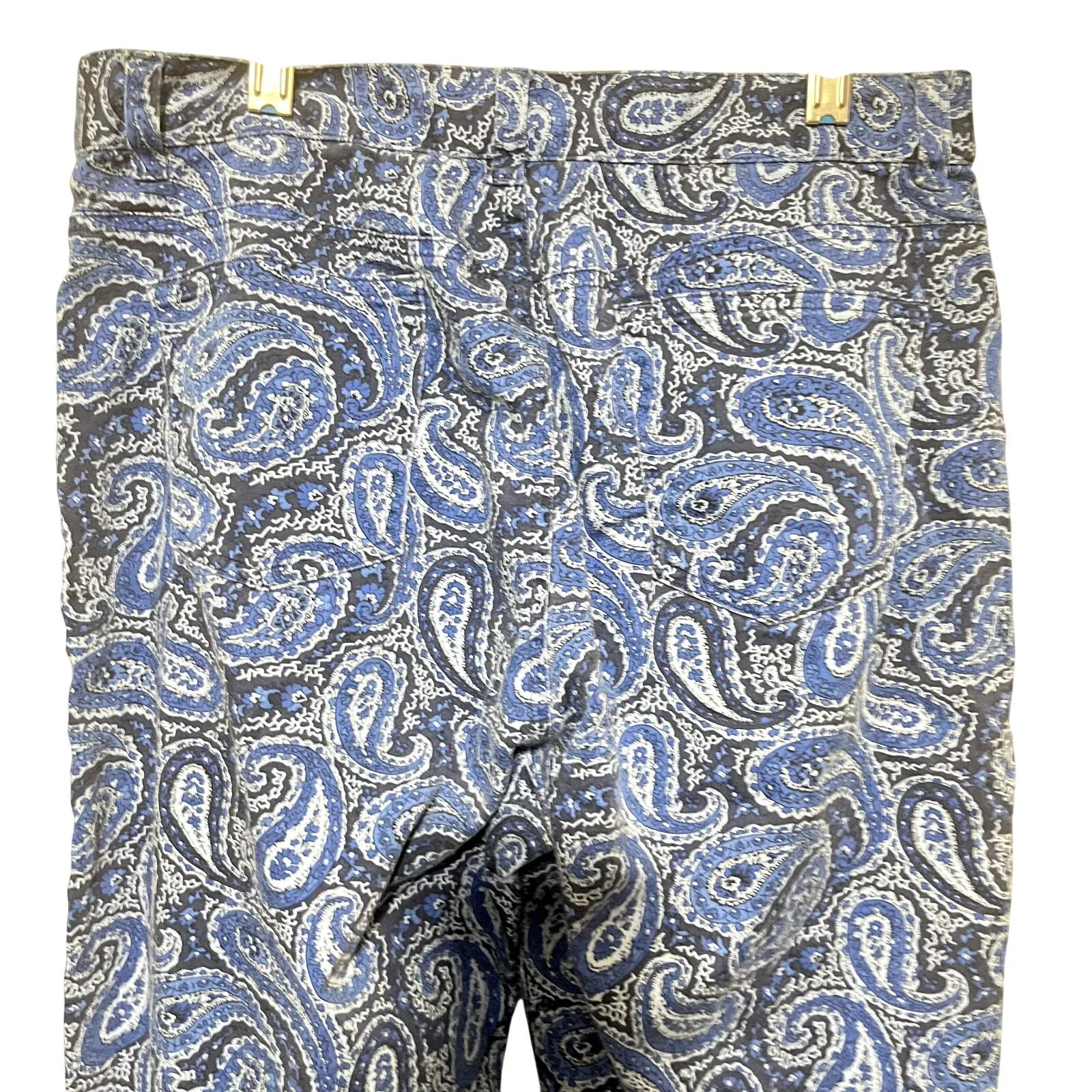 Lauren Ralph Lauren Pants Blue Paisley Slim Straight Ankle Women’s Sz 10P Petite - Image 5