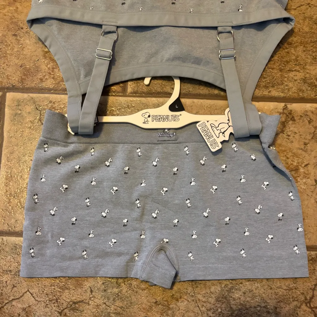 NWT Peanuts Snoopy bra and boy shorts set sz L Gray Size L - Image 5