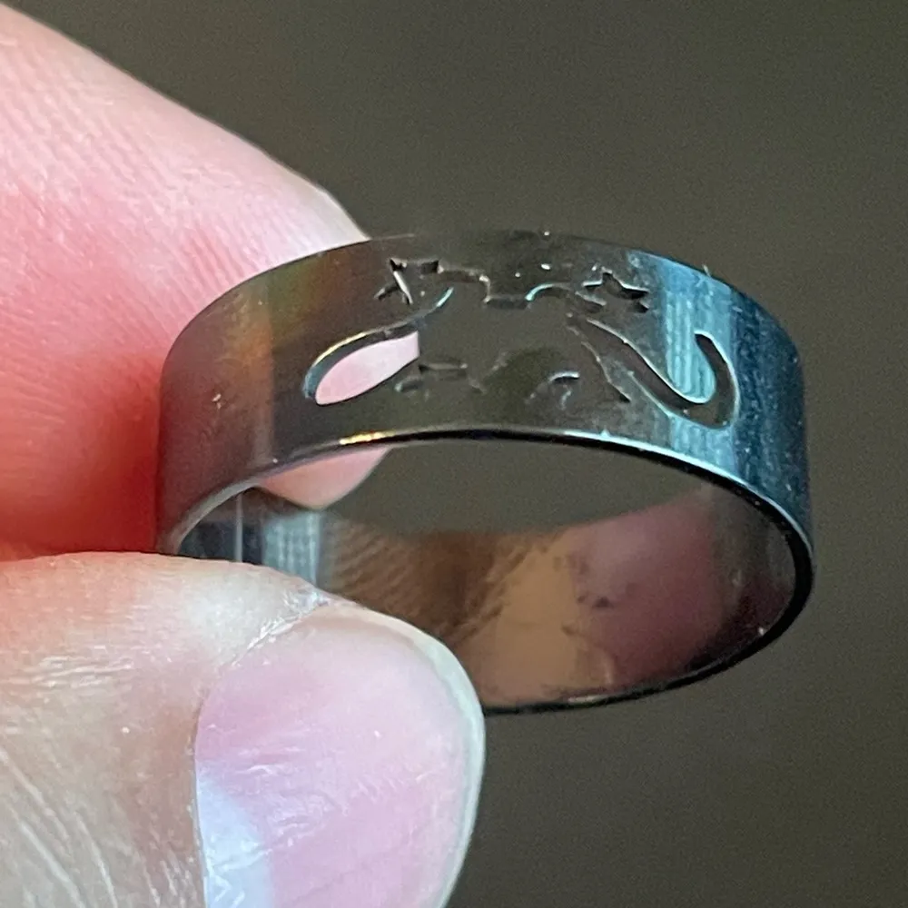 Hollow lizard black stainless steel ring size 9.5 - Image 5