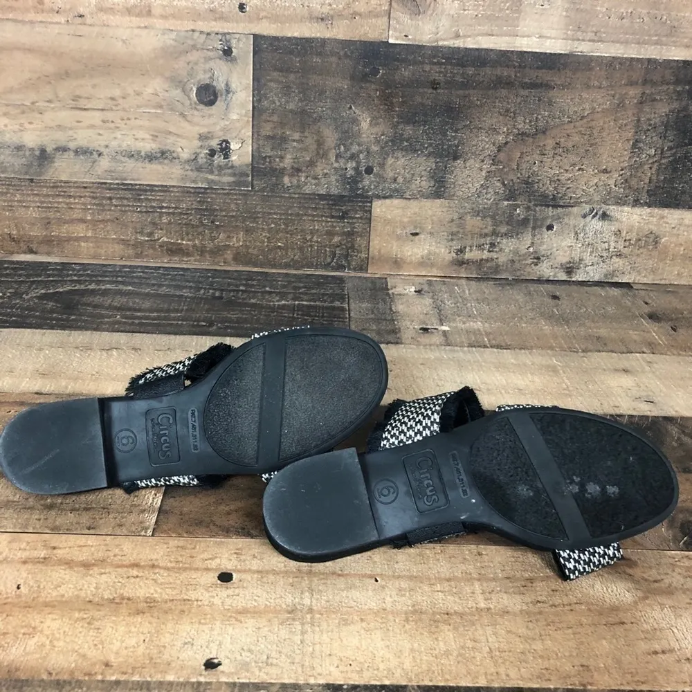 Circus by Sam‎ Edelman sandals - Image 7