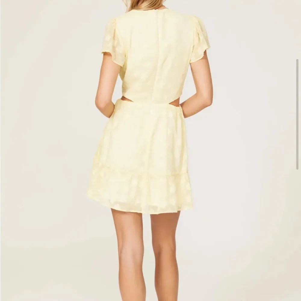 Show Me your MUMU mini dress - Image 3