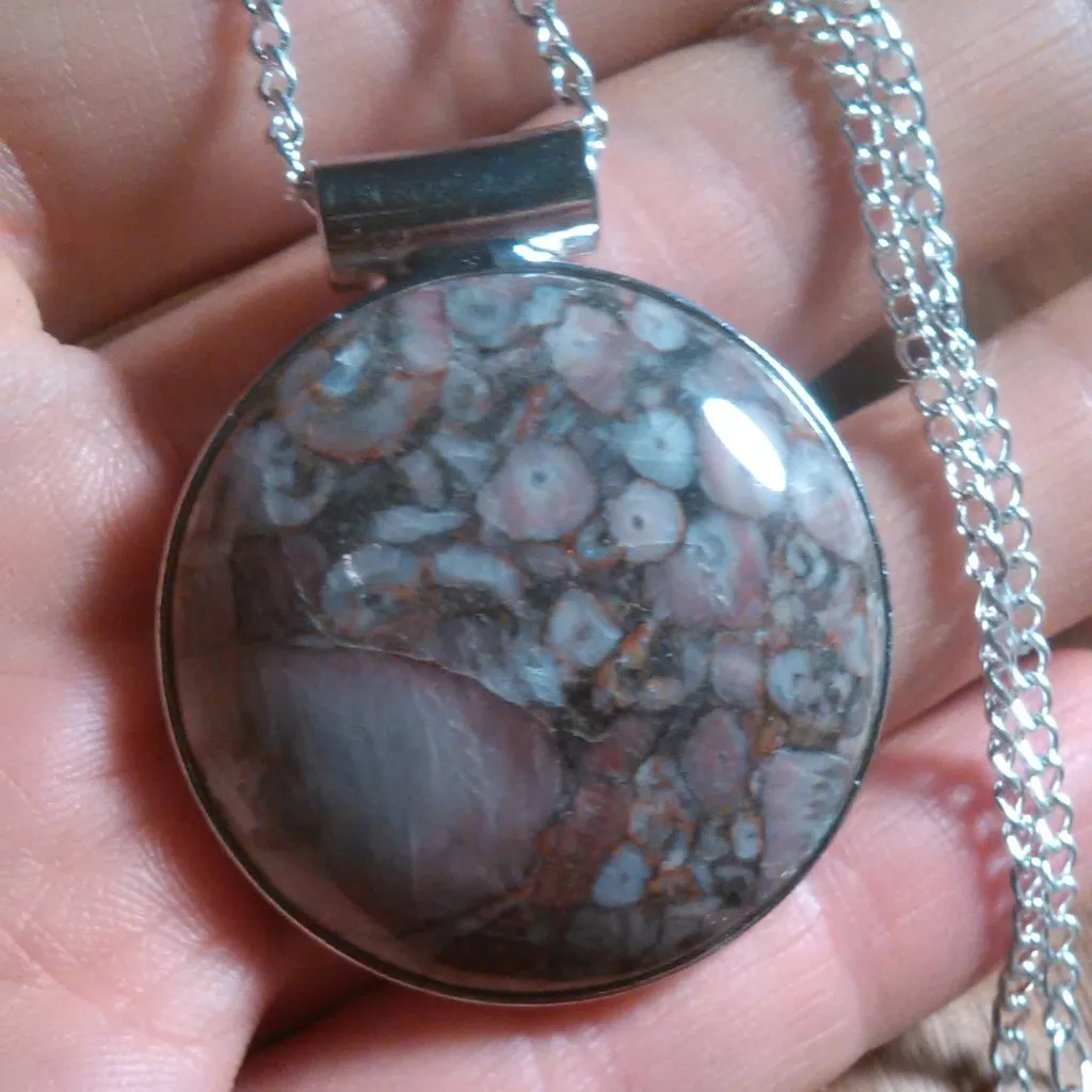 Insect Fossil Jasper Round Silvertone Pendant Necklace - Image 8