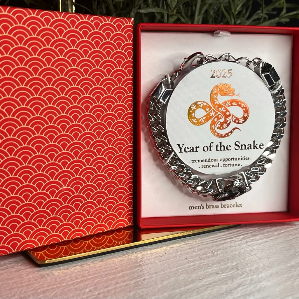 2025 Year of the Snake Necklace Renewal Opportunity Fortune Brass NWT Gray - Image 4