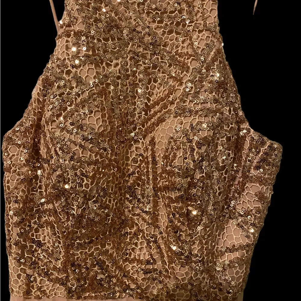 CACHET Champaign Sparkle ‎ Prom Dress Tan Size 4 - Image 4