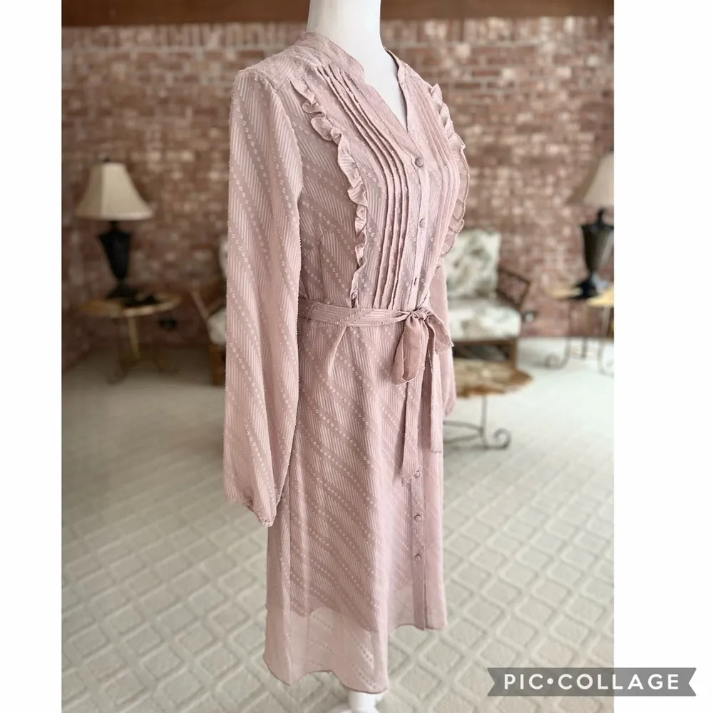 Nanette Lepore Mauve Pink Pintuck Swiss Dot Knee Length Dress 8 - Image 9