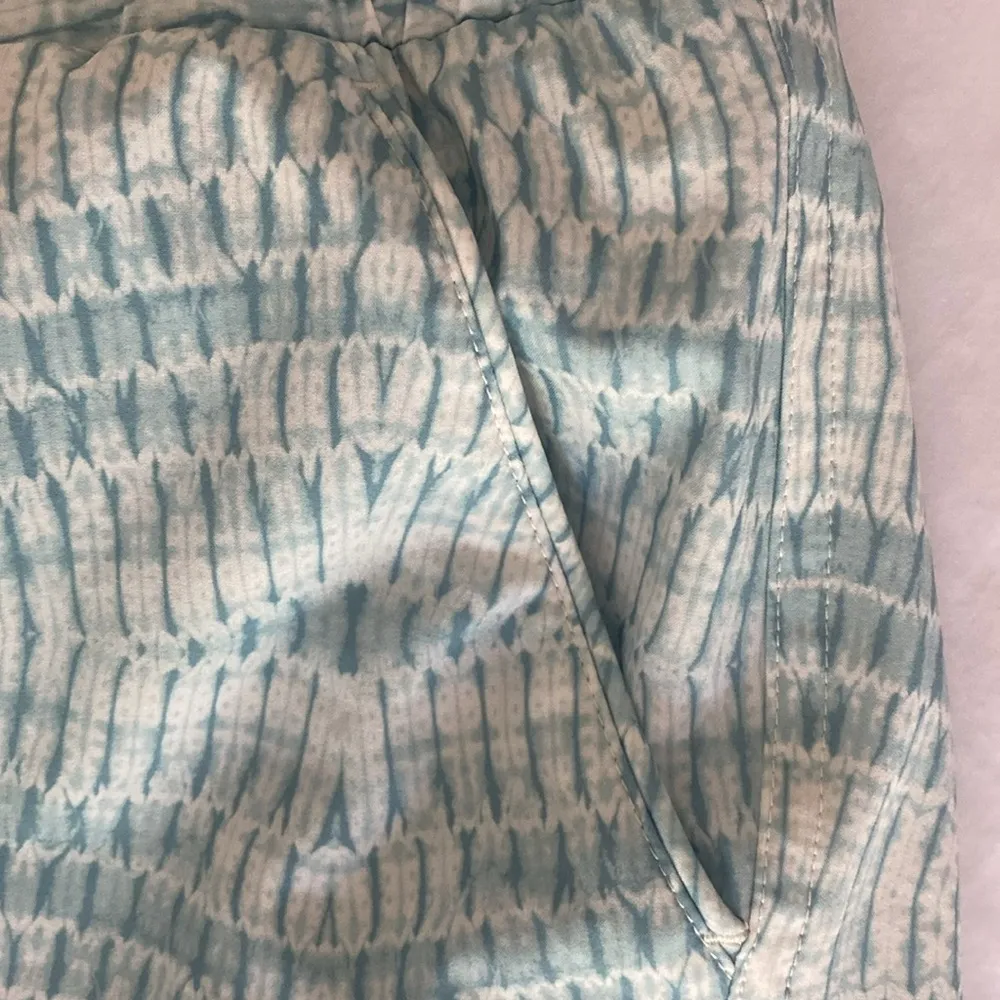 Carve Designs Blue Athletic Shorts Lightweight Relaxed Fit - Image 6