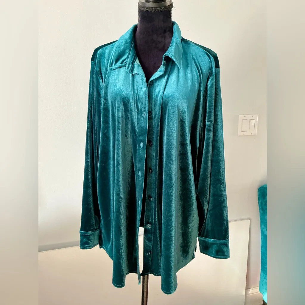 Beautiful velvet button down top 🌹🌹 - Image 2