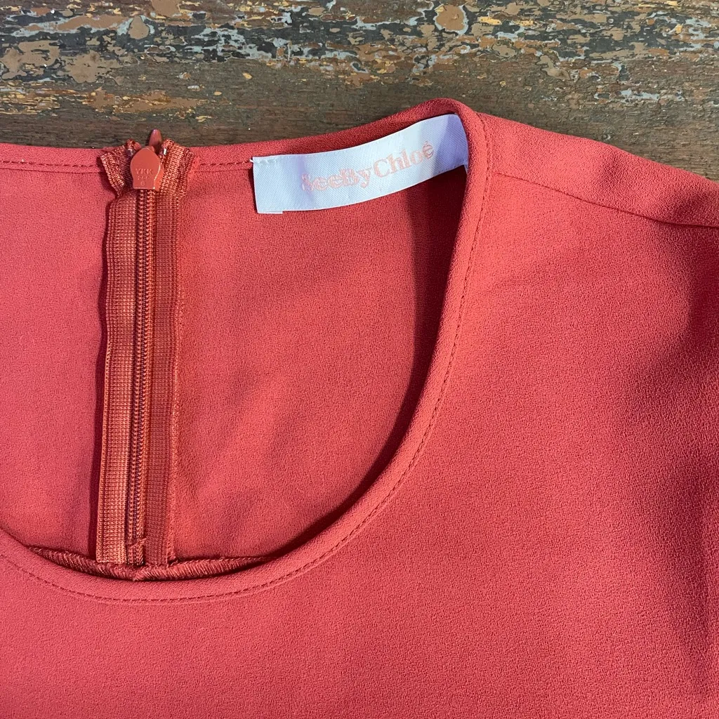 See By Chloe Ruched Tie Sleeve Shift Dress ~ Size 38 / US 6ππ - Image 9