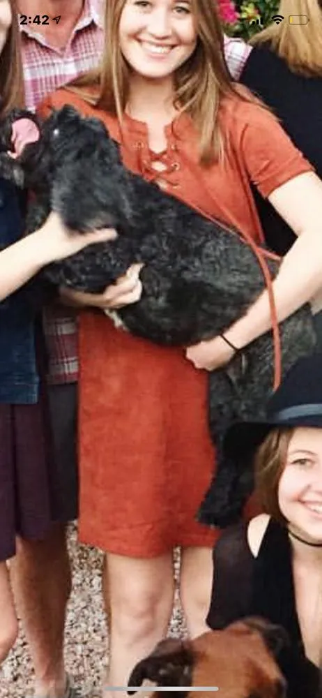 Sweet Wanderer Rust suede lace up dress  - Image 2