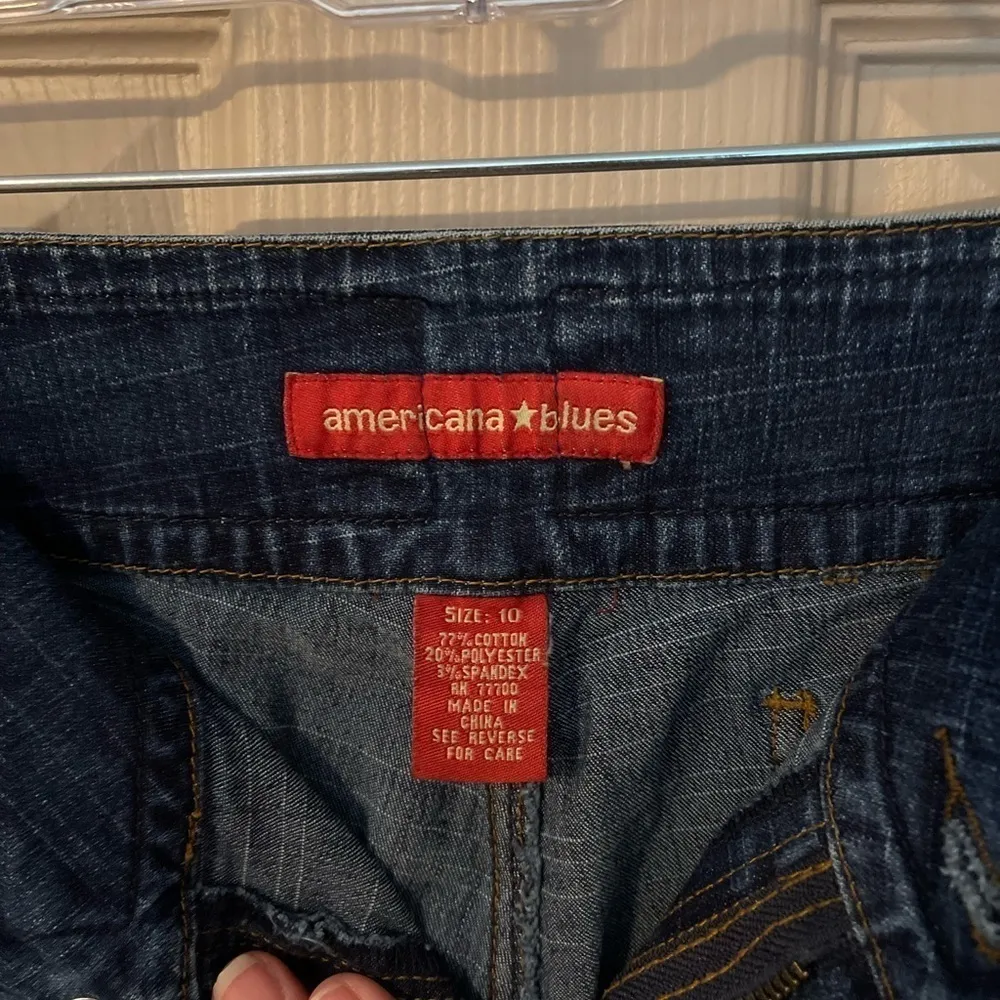 Americana Blues Y2K wide leg jeans with blue & black velvet zebra detail. Size 10 - Image 6