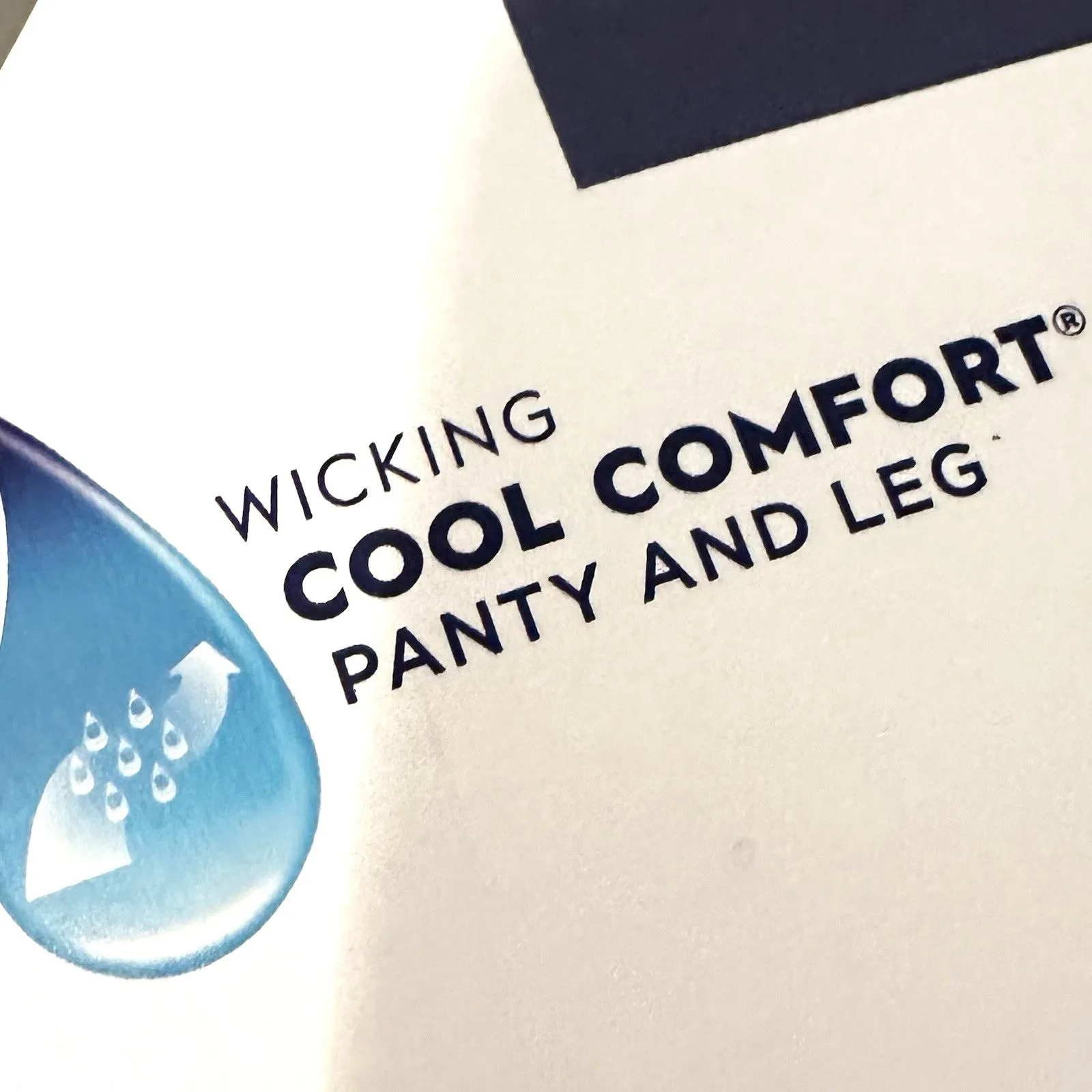 Silky Reflections Silky Sheer Pantyhose Control Top Plus Size GH Travel Buff New - Image 3