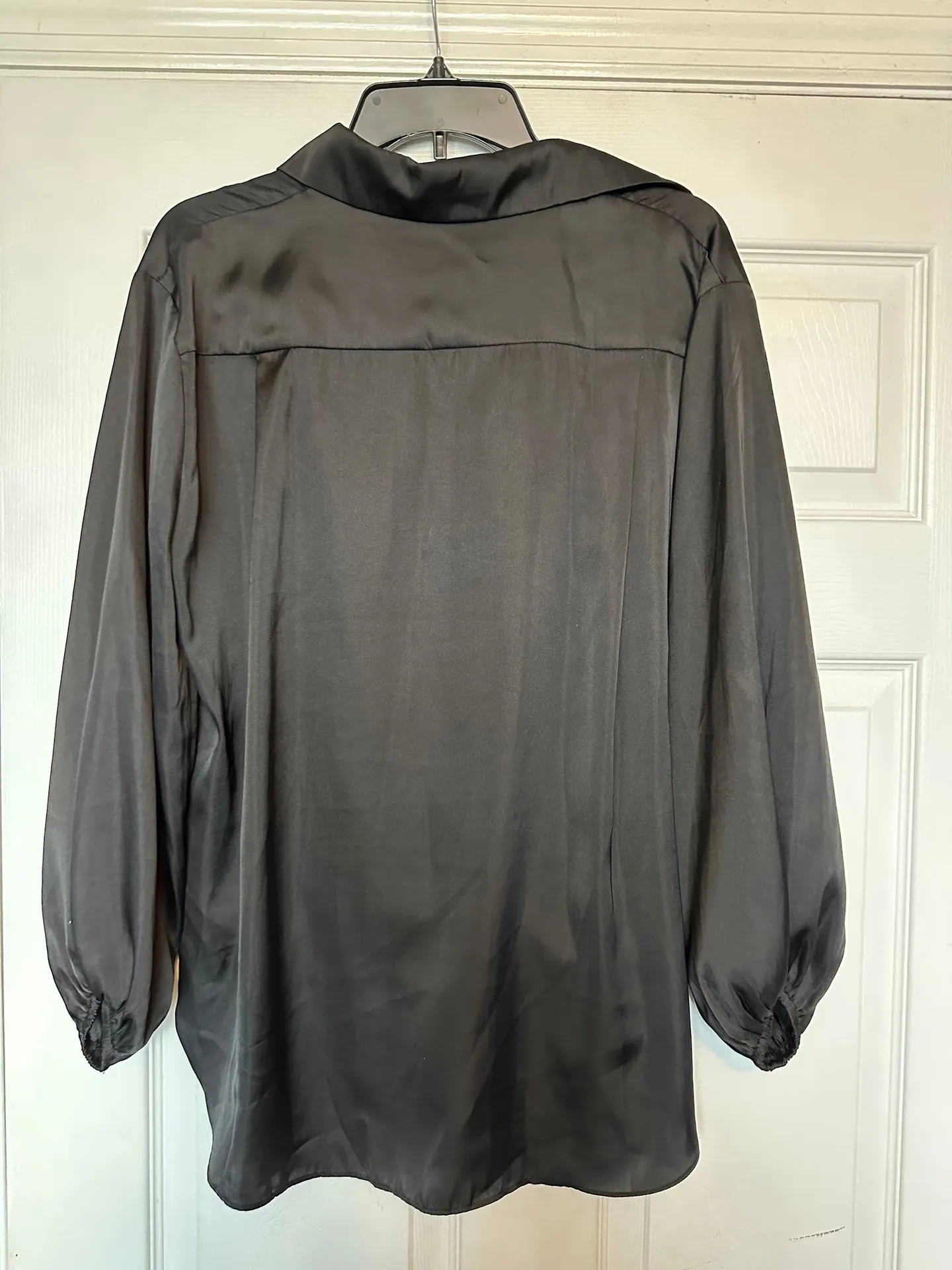 Lizard Thicket  Blouse - Image 3