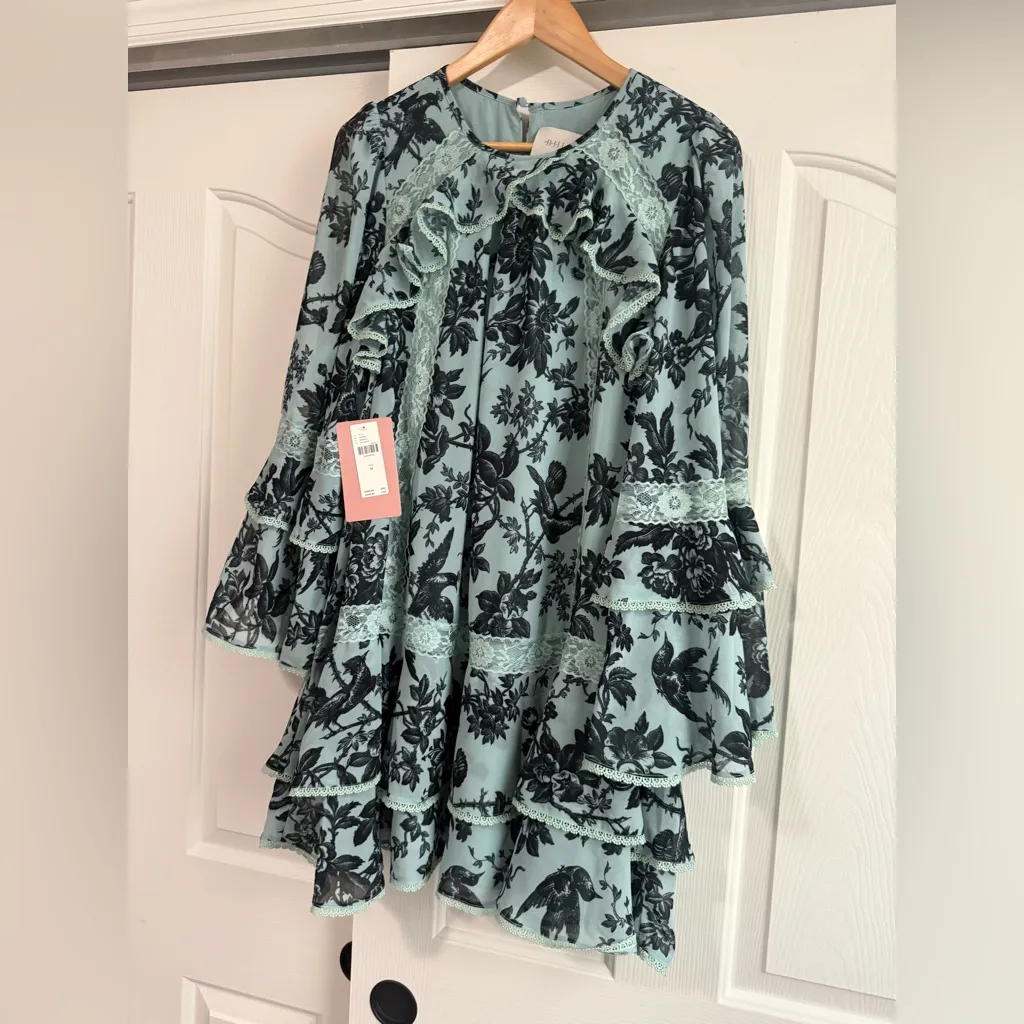 NWT Anthropologie BHLDN Camila Long-Sleeve Chiffon Mini Dress - Image 6