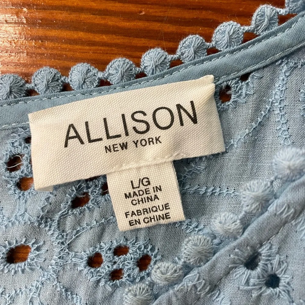 Allison New York Lucia Sky Blue Mini Eyelet Ruffle Cotton Swing Dress - Image 9