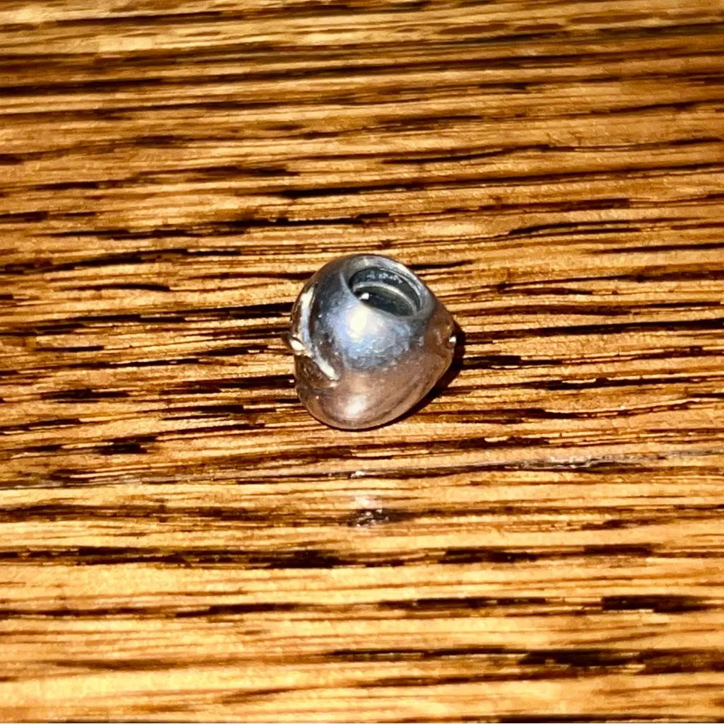 Pandora 791026 Silver & 14k Yellow Gold Education Apple of My Eye Charm - Image 9