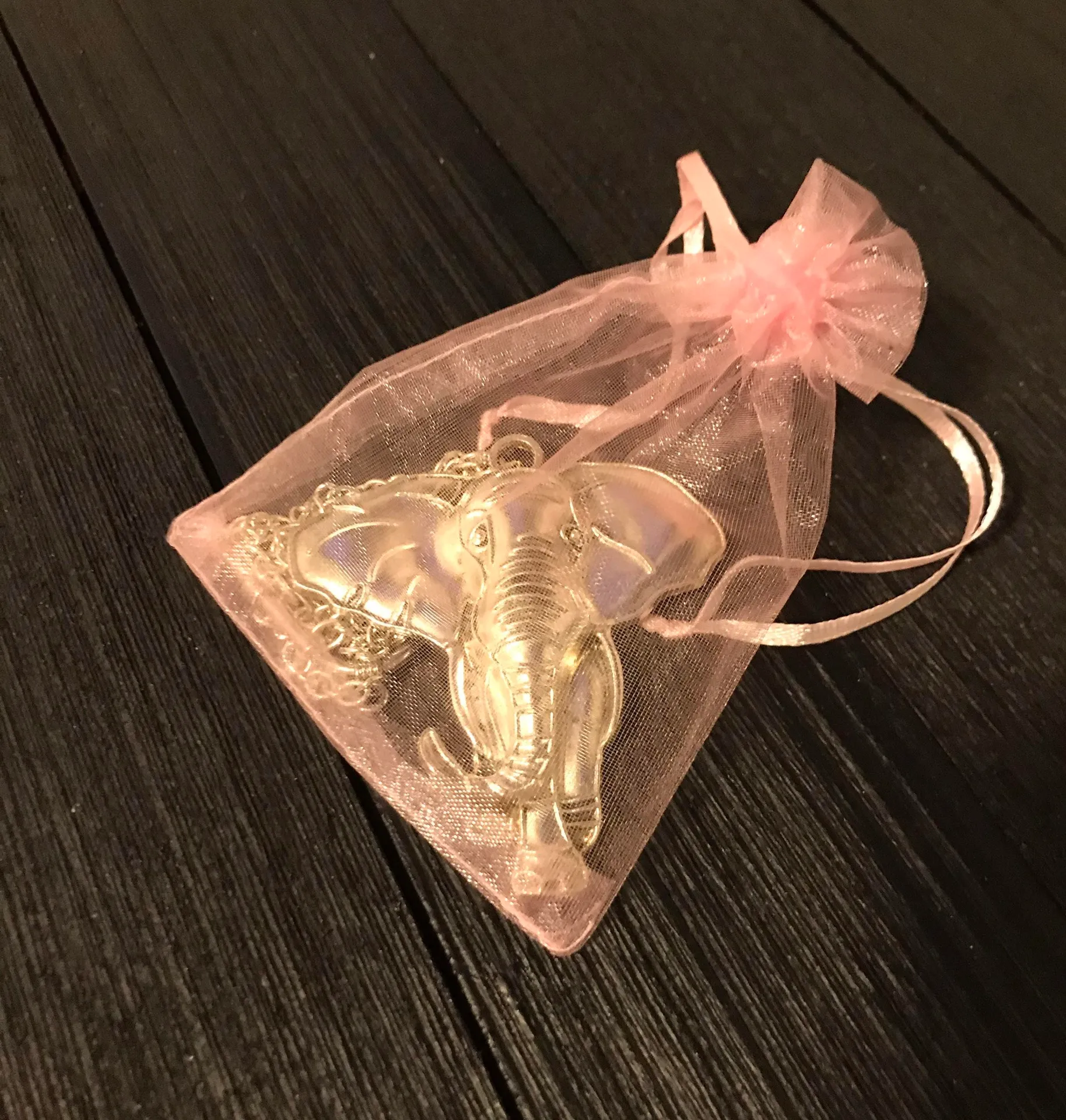 Paparazzi Big Silver Elephant Necklace/ Nature Jungle New 2020 Fashion  Drip Jewelry - Image 8