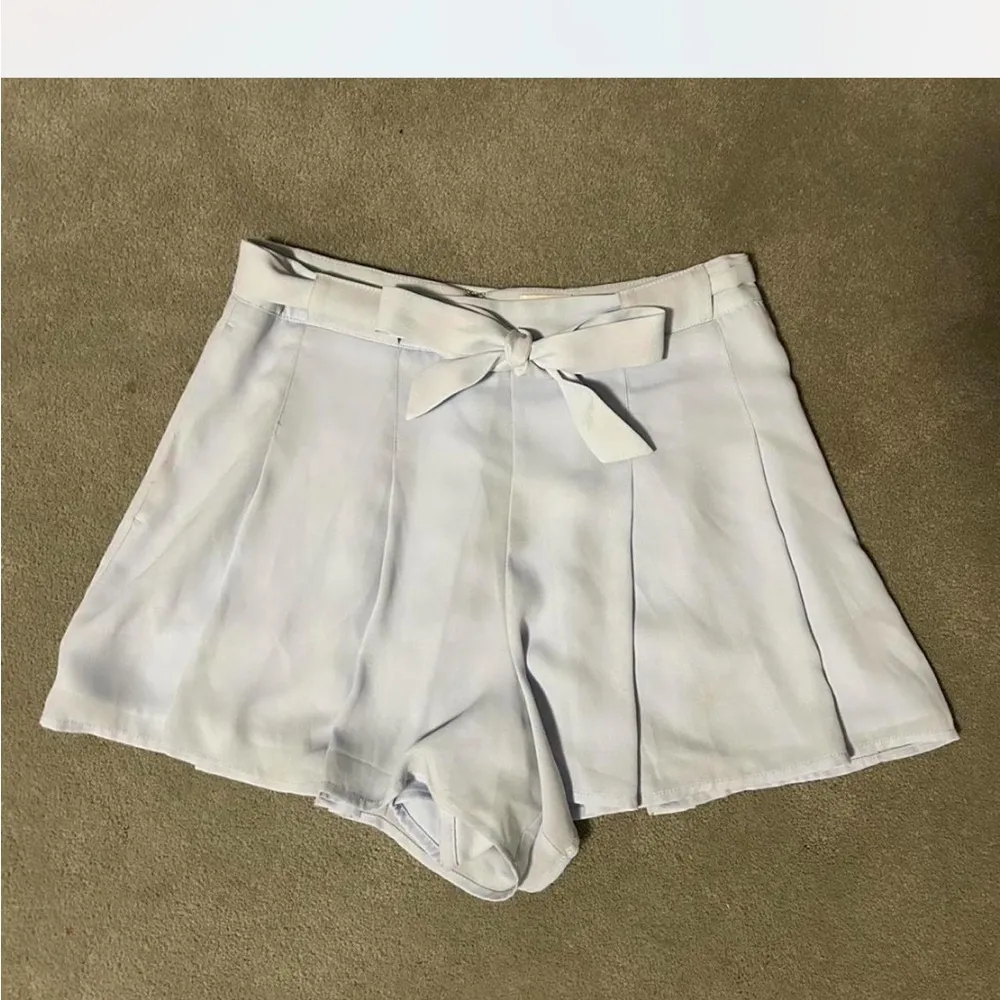 Aritzia Blue Shorts with Belt Size 6 - Image 4