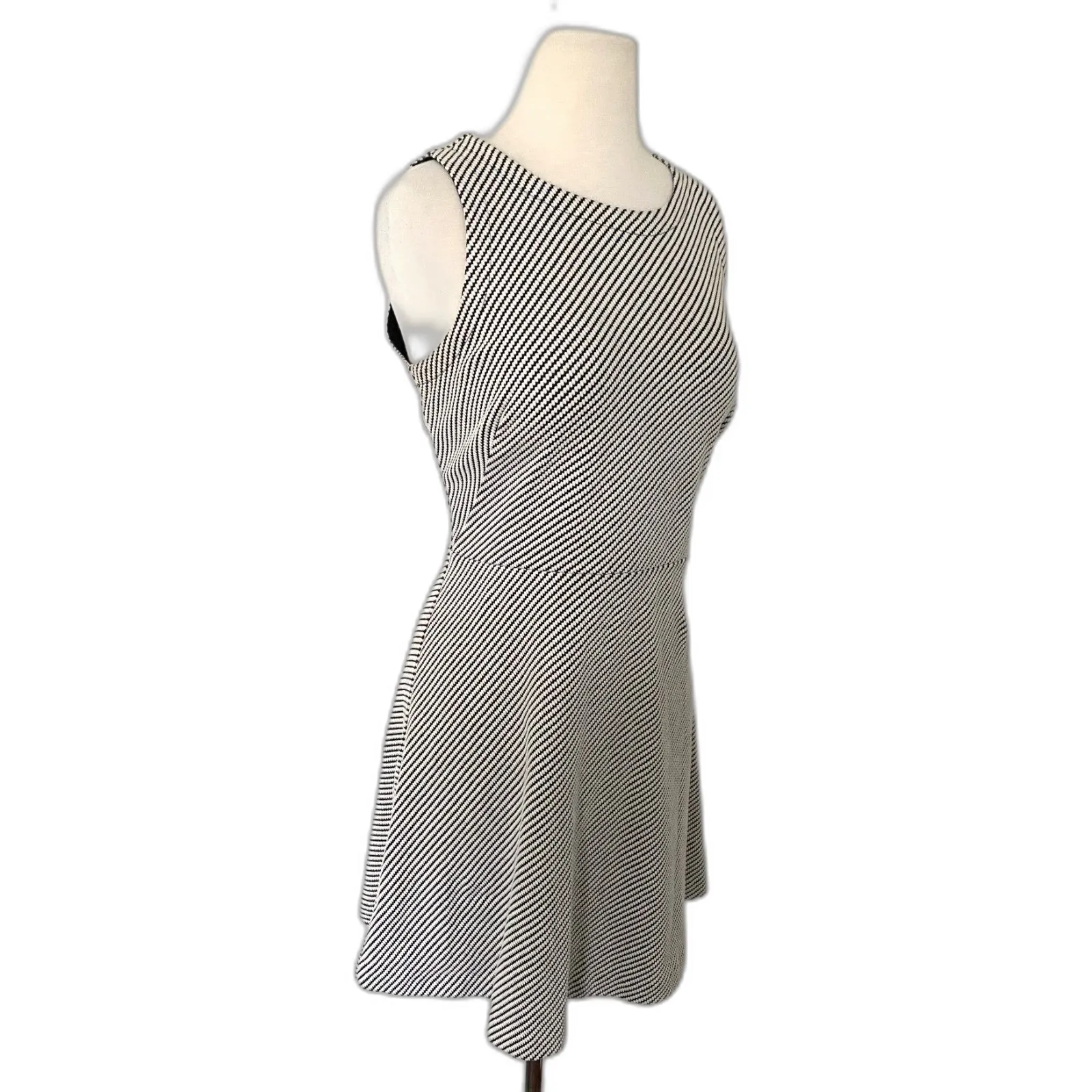 Ann Taylor LOFT Fit and Flare Black White Sleeveless Cotton Blend Dress 6P - Image 4